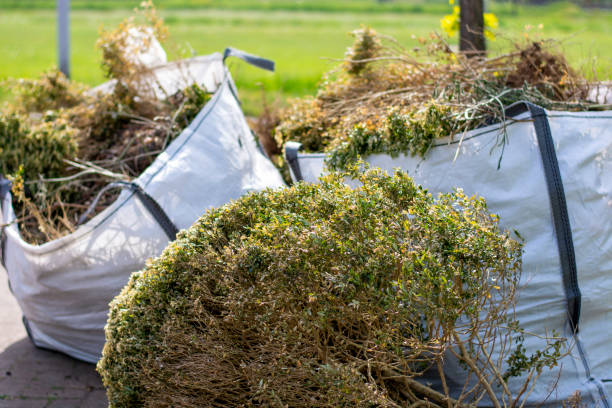 Best Demolition Debris Removal  in Ammon, ID