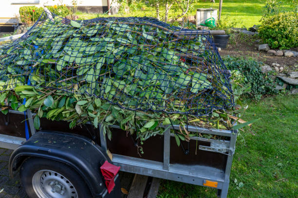 Professional Junk Removal Services in Ammon, ID